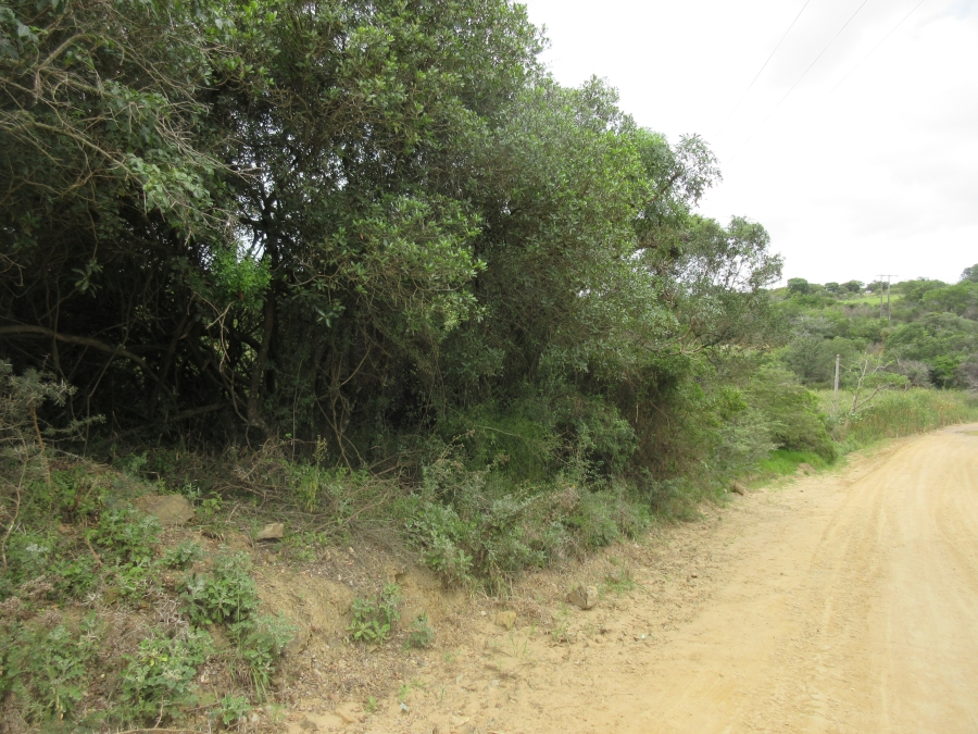 0 Bedroom Property for Sale in Bathurst Eastern Cape